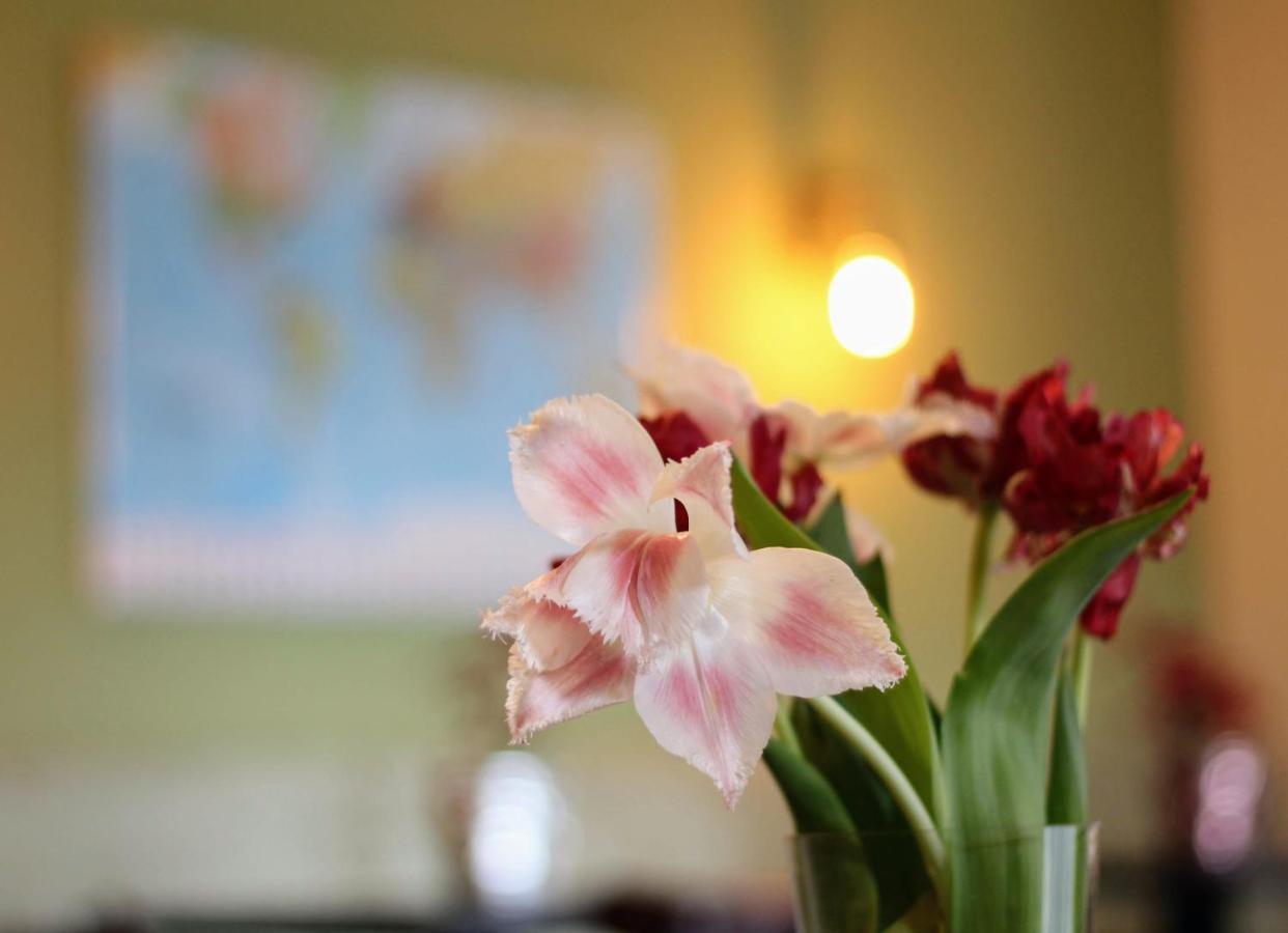 Bed And Breakfast De Grote Byvanck Westervoort Luaran gambar